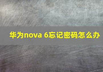 华为nova 6忘记密码怎么办